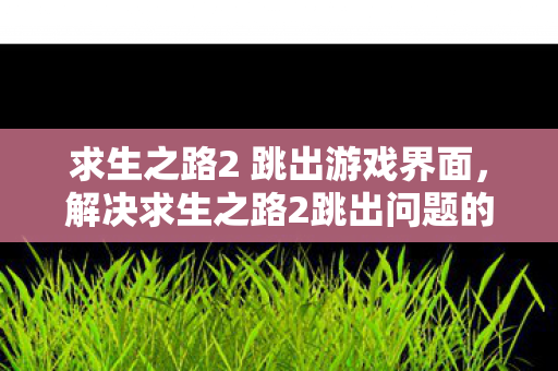 解决求生之路2跳出问题的全面指南图片
