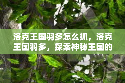 探索神秘王国的奇妙之旅图片