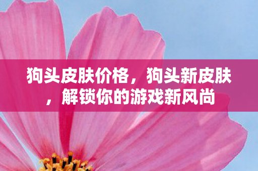 解锁你的游戏新风尚图片