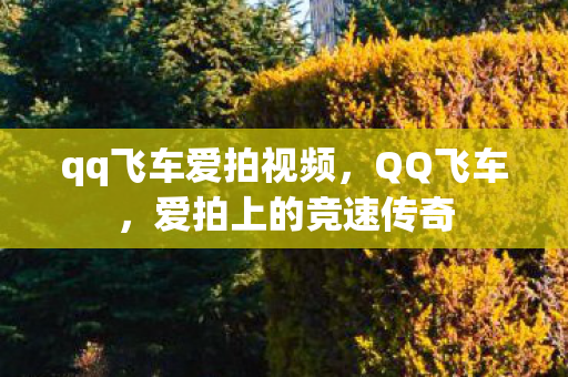 qq飞车爱拍视频图片