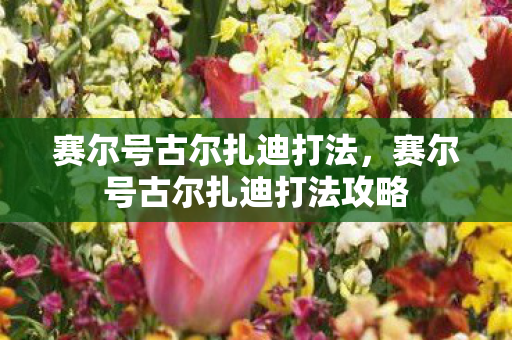 赛尔号古尔扎迪打法攻略图片