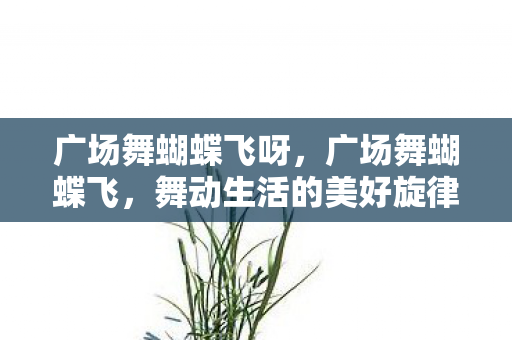 舞动生活的美好旋律图片