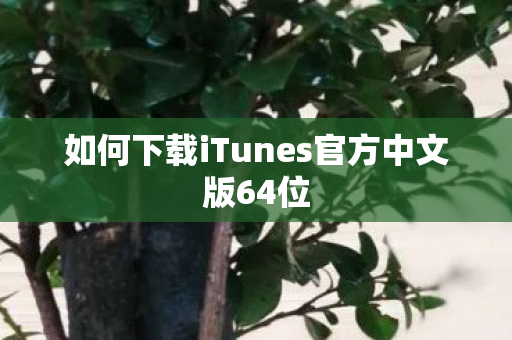 如何下载iTunes官方中文版64位图片