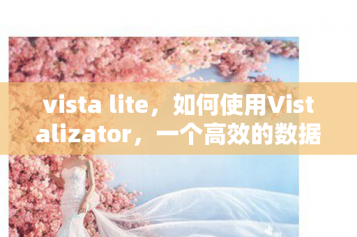 如何使用Vistalizator图片
