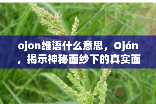 ojon维语什么意思，Ojón，揭示神秘面纱下的真实面貌