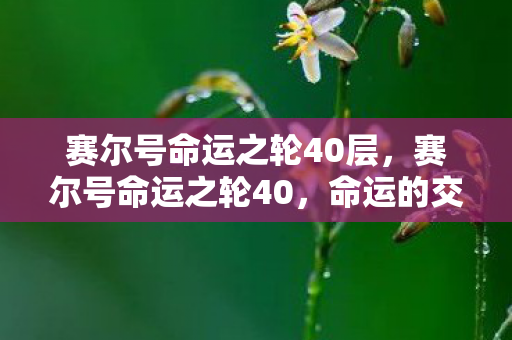 赛尔号命运之轮40层图片