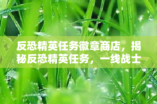 反恐精英任务徽章商店，揭秘反恐精英任务，一线战士的荣耀与挑战