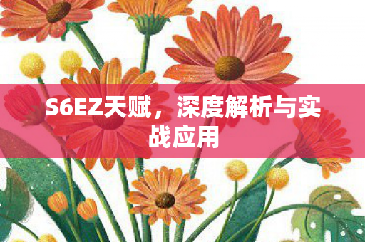 S6EZ天赋，深度解析与实战应用
