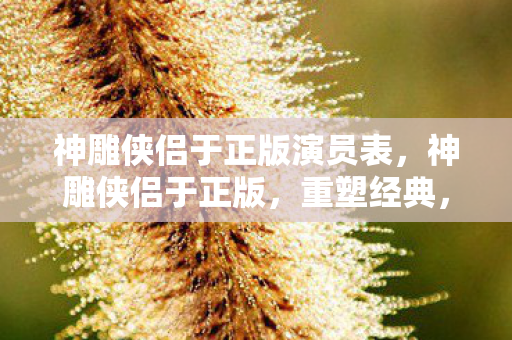 神雕侠侣于正版演员表图片