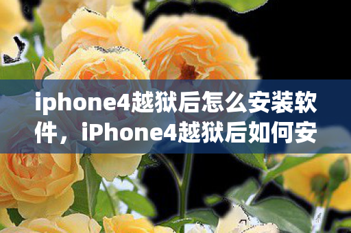 iphone4越狱后怎么安装软件图片