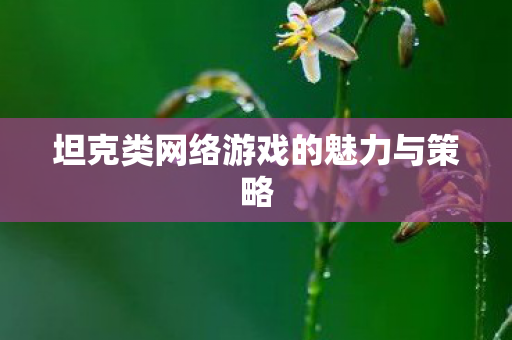 坦克类网络游戏的魅力与策略图片