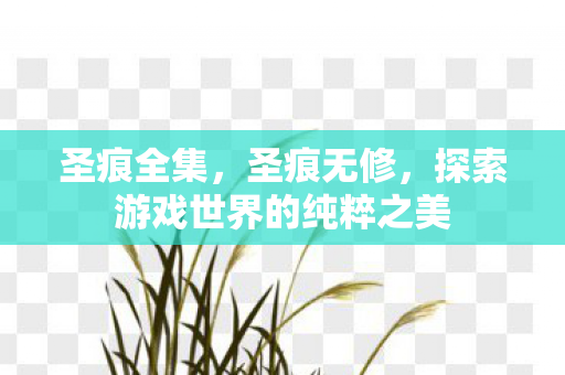 探索游戏世界的纯粹之美图片