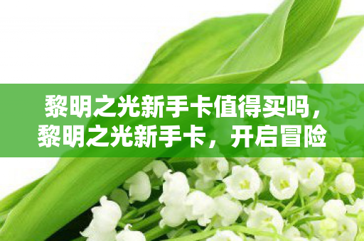 黎明之光新手卡值得买吗图片