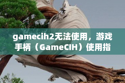 gamecih2无法使用图片