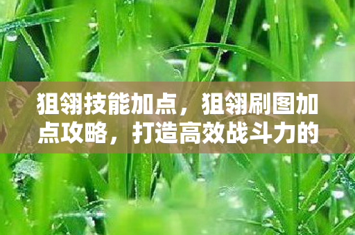 打造高效战斗力的关键图片