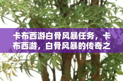 卡布西游白骨风暴任务图片