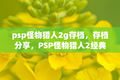 PSP怪物猎人2经典存档大放送图片