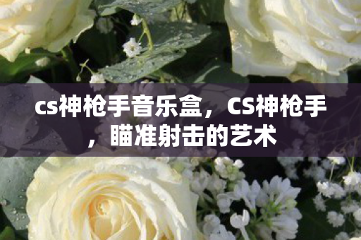cs神枪手音乐盒，CS神枪手，瞄准射击的艺术