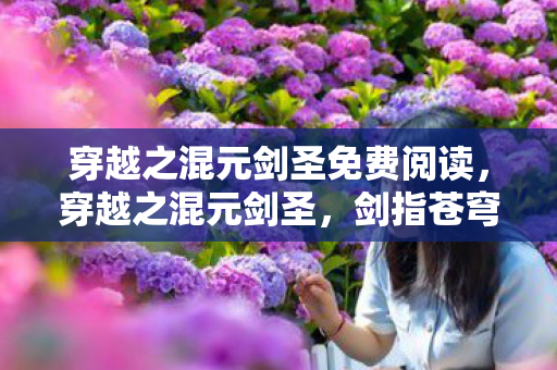 穿越之混元剑圣免费阅读图片