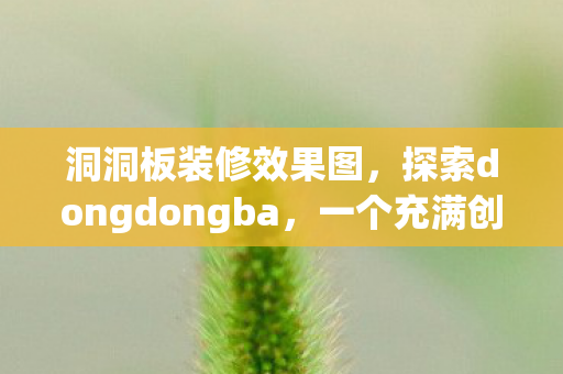探索dongdongba图片