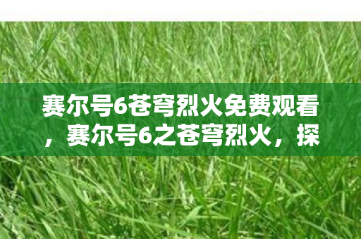 赛尔号6苍穹烈火免费观看图片