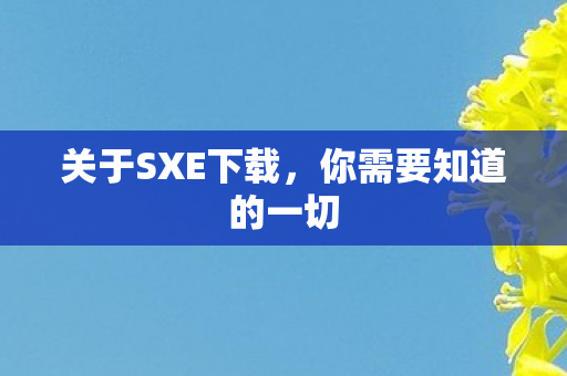 关于SXE下载，你需要知道的一切