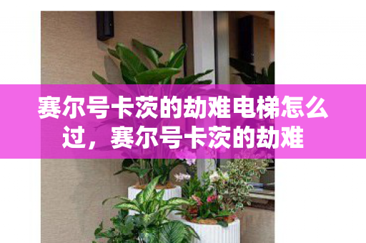 赛尔号卡茨的劫难电梯怎么过图片