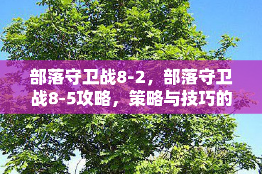 策略与技巧的全面解析图片