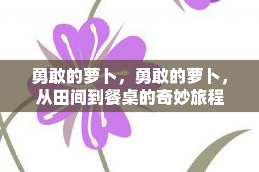 从田间到餐桌的奇妙旅程图片