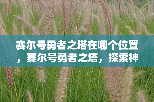 赛尔号勇者之塔在哪个位置图片