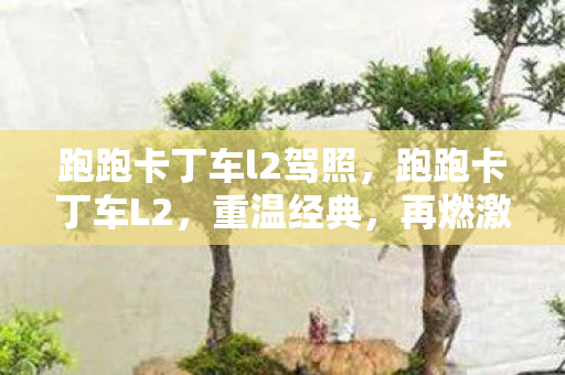 跑跑卡丁车l2驾照图片