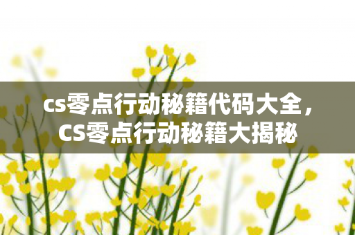 cs零点行动秘籍代码大全，CS零点行动秘籍大揭秘