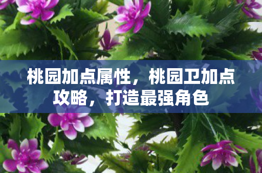 桃园卫加点攻略图片