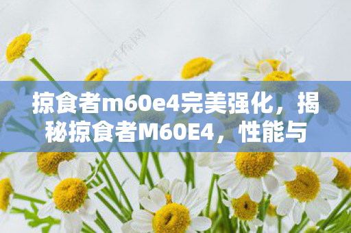 掠食者m60e4完美强化，揭秘掠食者M60E4，性能与特点一览