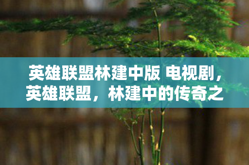 英雄联盟林建中版 电视剧图片