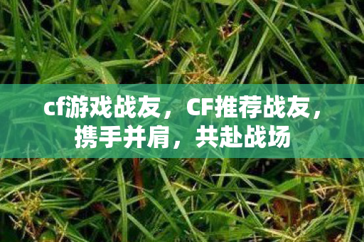 cf游戏战友图片