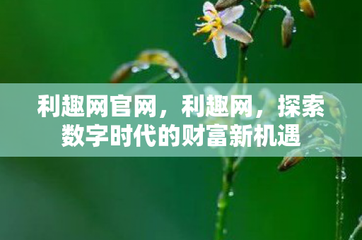 探索数字时代的财富新机遇图片