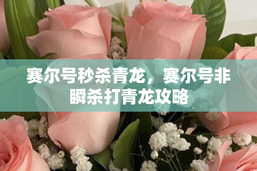 赛尔号非瞬杀打青龙攻略图片