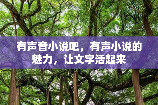 有声小说的魅力图片