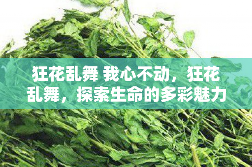 狂花乱舞 我心不动，狂花乱舞，探索生命的多彩魅力