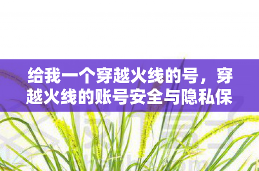 穿越火线的账号安全与隐私保护图片