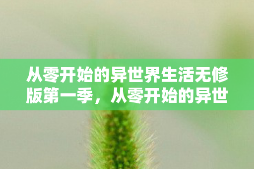 从零开始的异世界生活无修版第一季图片