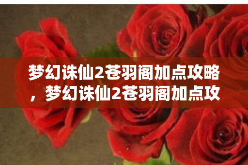 梦幻诛仙2苍羽阁加点攻略图片