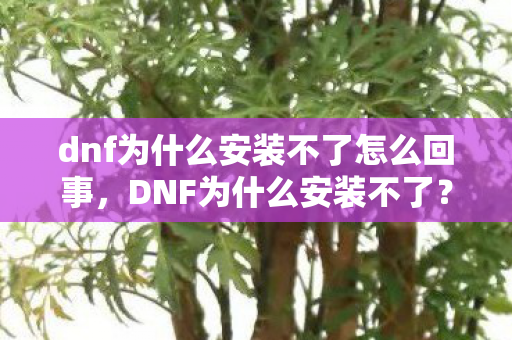 dnf为什么安装不了怎么回事图片