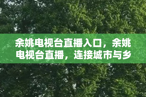 连接城市与乡村的桥梁图片