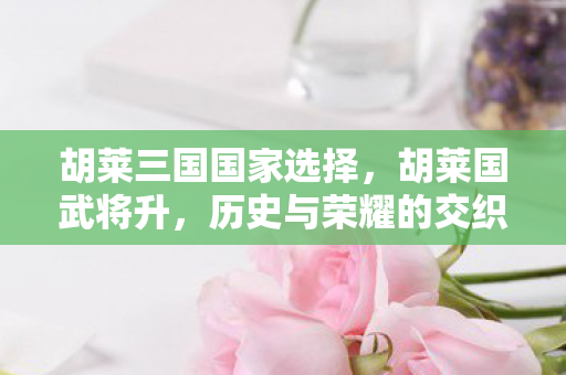 胡莱三国国家选择图片