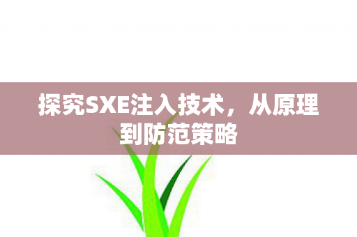 探究SXE注入技术，从原理到防范策略