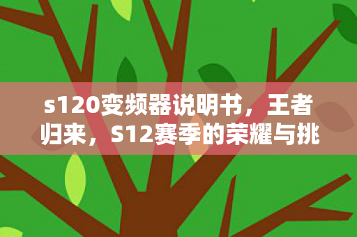 S12赛季的荣耀与挑战图片