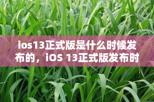 ios13正式版是什么时候发布的图片