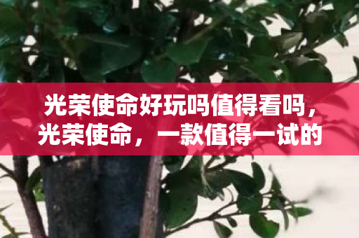 光荣使命好玩吗值得看吗图片